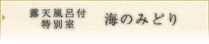 露天風呂付特別室 海のみどり