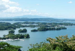 宮城県 陸前「松島」