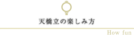 天橋立の楽しみ方