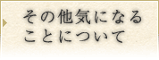 その他気になることについて